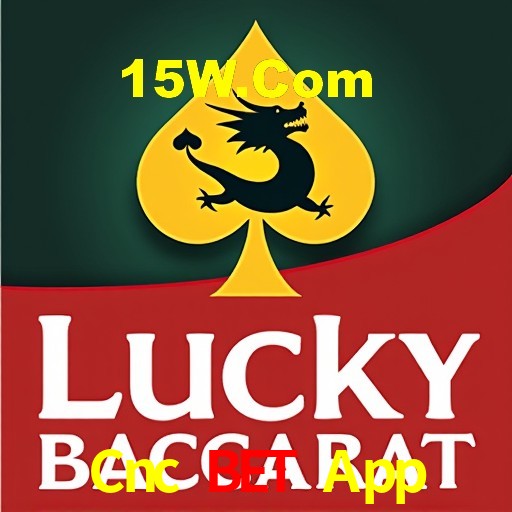 Casino VIP Cnc Bet App