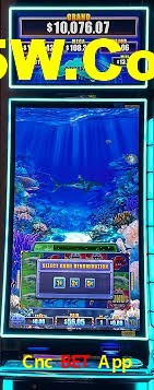 Spaceman Game Cnc Bet App