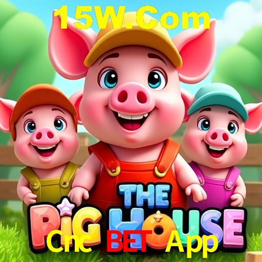 A Experiência Imersiva dos Cassinos Ao Vivo no Cnc Bet App